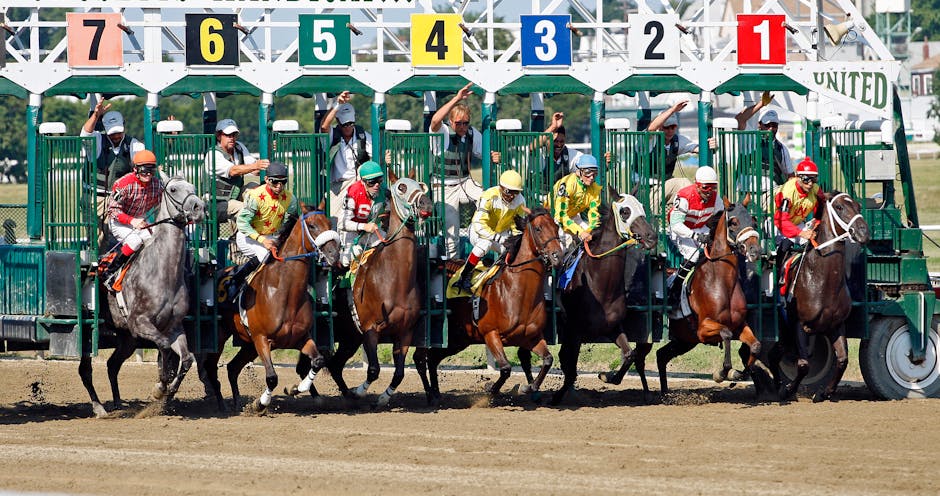 How to Start a Betting Vlog: A Step-by-Step Guide