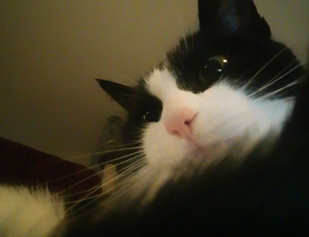 why can't i full screen my game marshock200 on pc