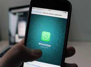 doctor fantasy whatsapp web