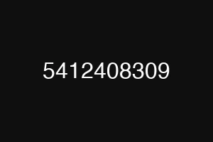 5412408309