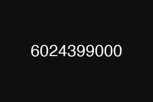 6024399000