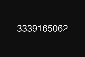 3339165062