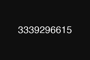 3339296615