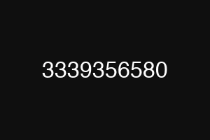 3339356580