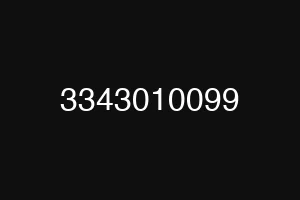 3343010099