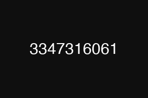 3347316061