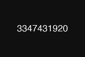 3347431920