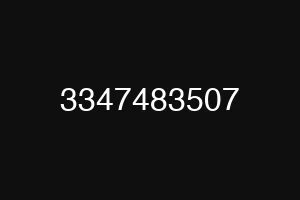 3347483507