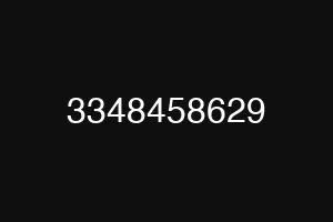 3348458629