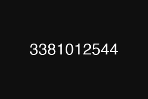3381012544