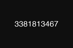 3381813467