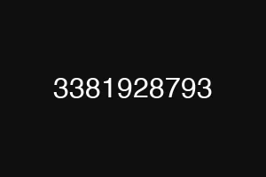 3381928793