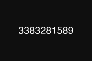 3383281589