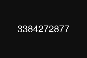 3384272877