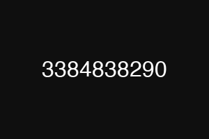 3384838290