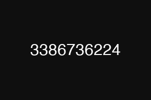 3386736224