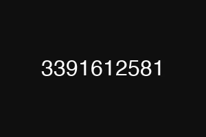 3391612581