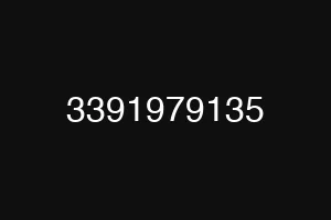3391979135