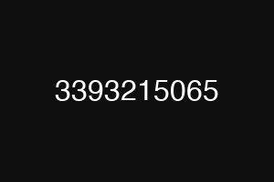 3393215065