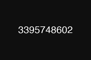 3395748602