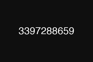 3397288659