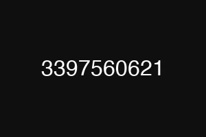 3397560621