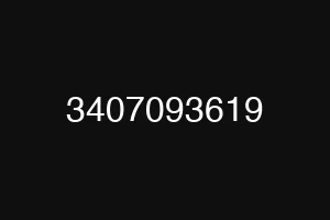 3407093619