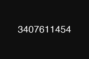 3407611454