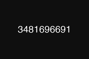 3481696691