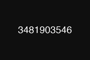 3481903546