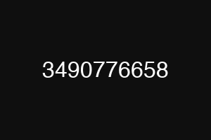 3490776658