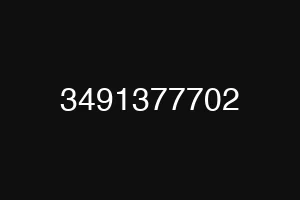 3491377702