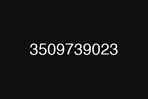 3509739023