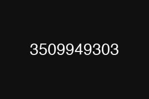 3509949303