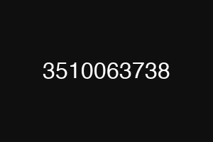 3510063738