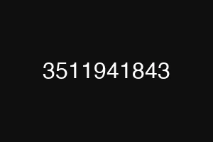 3511941843