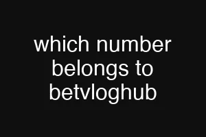 which number belongs to betvloghub